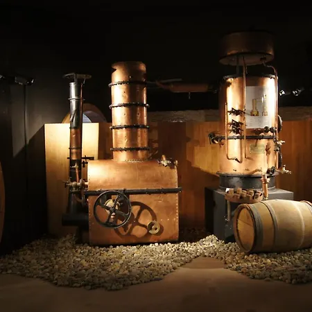 Chateau De Mons Armagnac