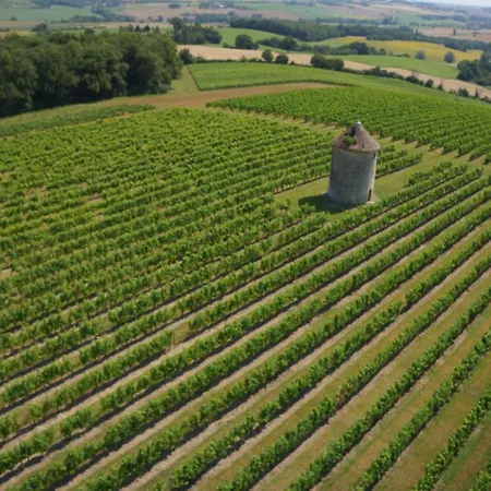 فندق Chateau De Mons Armagnac