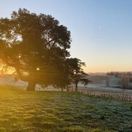 Chateau De Mons Armagnac 3*