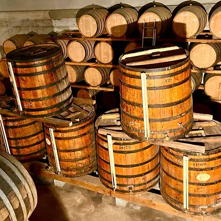 Chateau De Mons Armagnac فندق Caussens