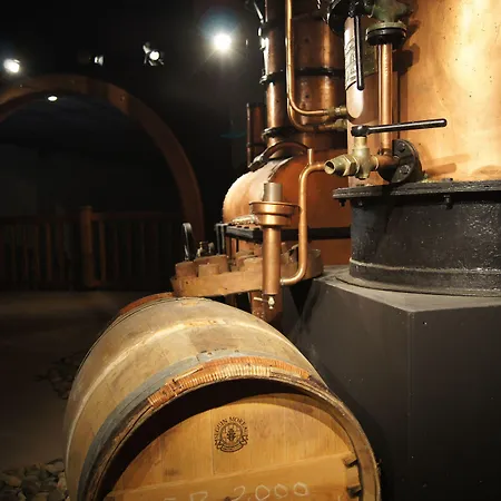 Chateau De Mons Armagnac Caussens