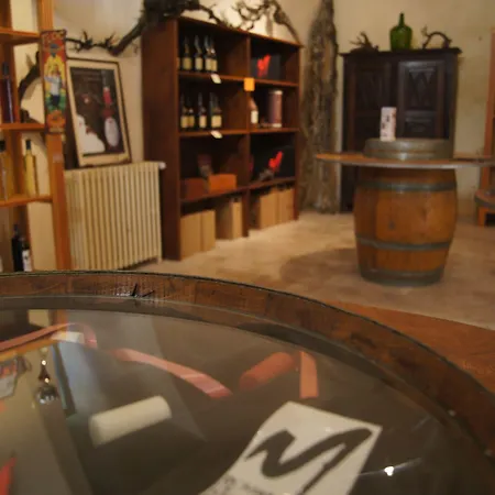 فندق Chateau De Mons Armagnac 3*