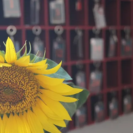 Chateau De Mons Armagnac Hotel 3*