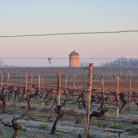 Chateau De Mons Armagnac 3*