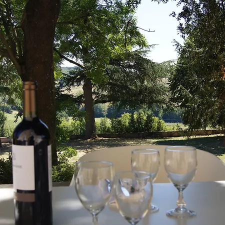 Chateau De Mons Armagnac