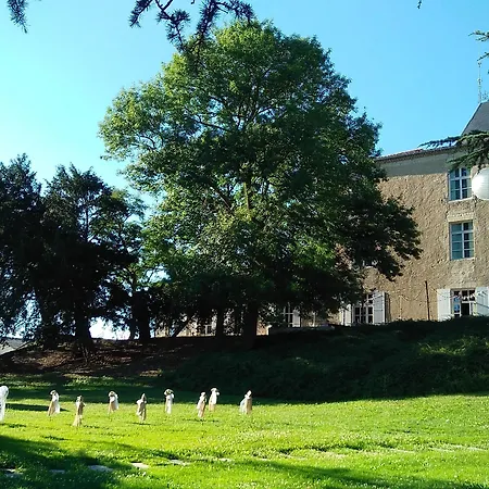 Chateau De Mons Armagnac 3*