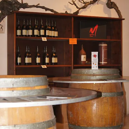 Chateau De Mons Armagnac מלון Caussens