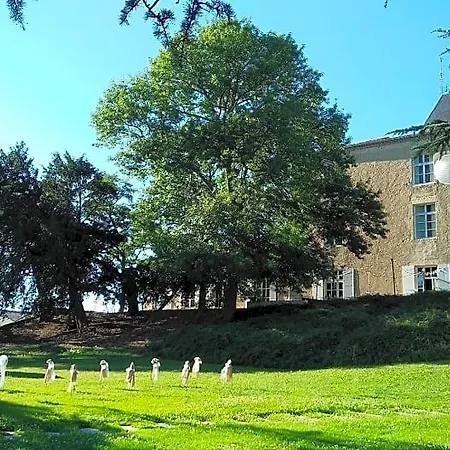 Hotel Chateau De Mons Armagnac Caussens