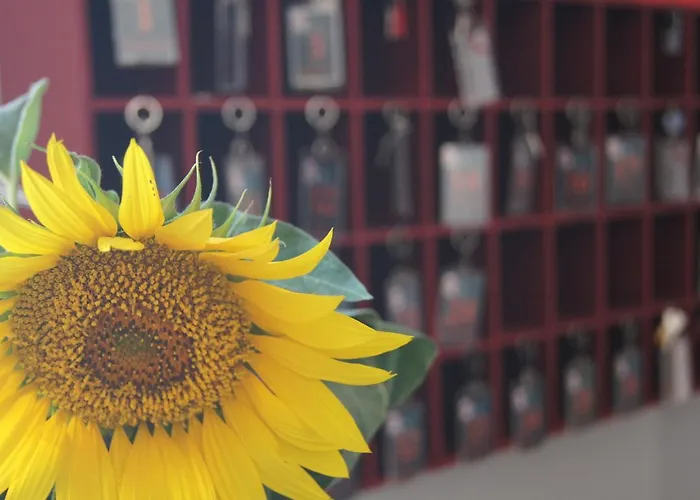 Chateau De Mons Armagnac Hotel 3*