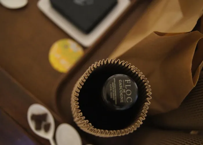 Hotel Chateau De Mons Armagnac