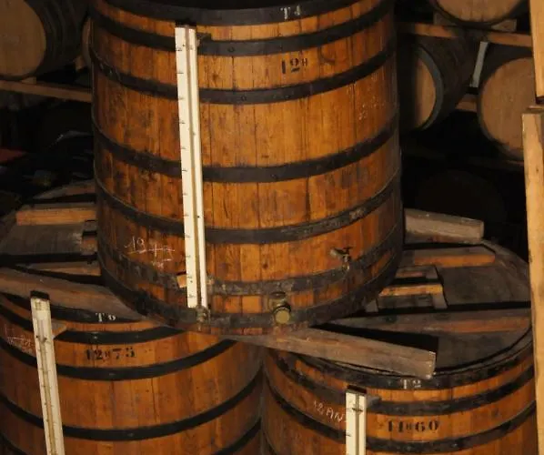 Hotel Chateau De Mons Armagnac Caussens